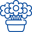 Flowers and Plants